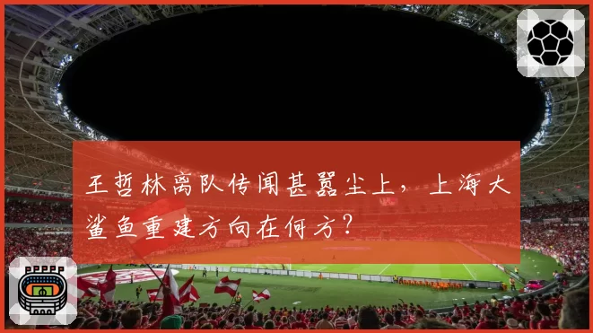 王哲林离队传闻甚嚣尘上，上海大鲨鱼重建方向在何方？