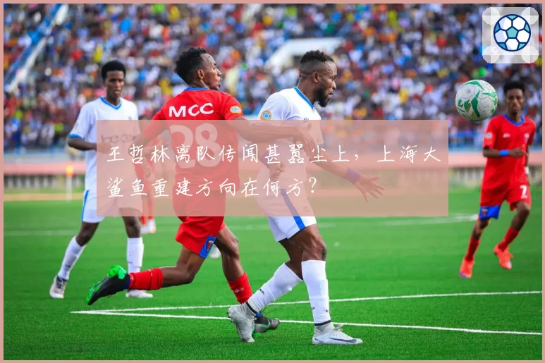 王哲林离队传闻甚嚣尘上，上海大鲨鱼重建方向在何方？