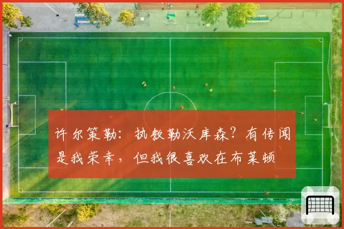 许尔策勒：执教勒沃库森？有传闻是我荣幸，但我很喜欢在布莱顿